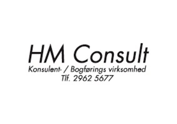 HM Consult logo